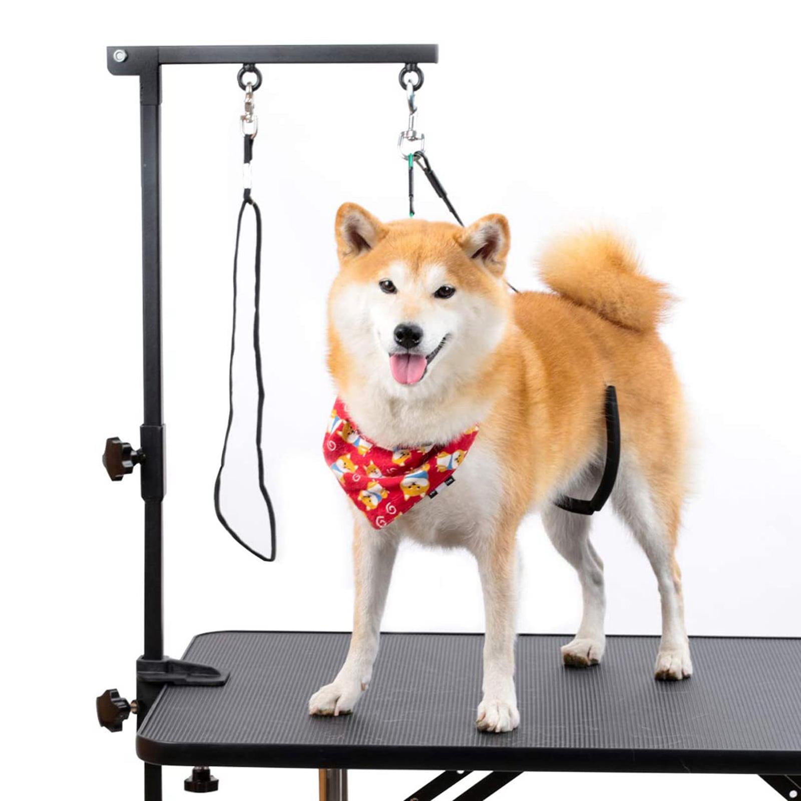 折りたたみ式ペットグルーミングアーム（クランプ付き）、中小型 - Folding Pet Grooming Table Arm Clamp のレビューと価格