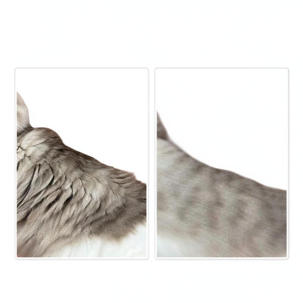 ペット用抜け毛取りツール、湾曲した刃の毛玉取りコーム。犬や猫 - Undercoat Rake Dematting Tool Dog Shedding のレビューと価格