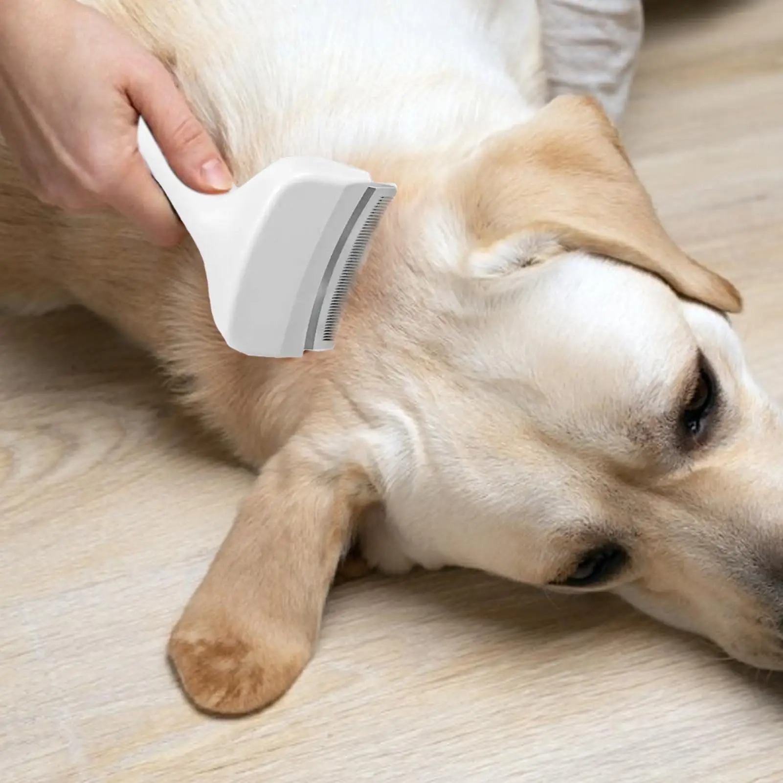 犬用スリッカーブラシ アンダーコート脱毛ツール 犬猫子犬子猫 - Undercoat Rake Dematting Tool Dog Shedding のレビューと価格