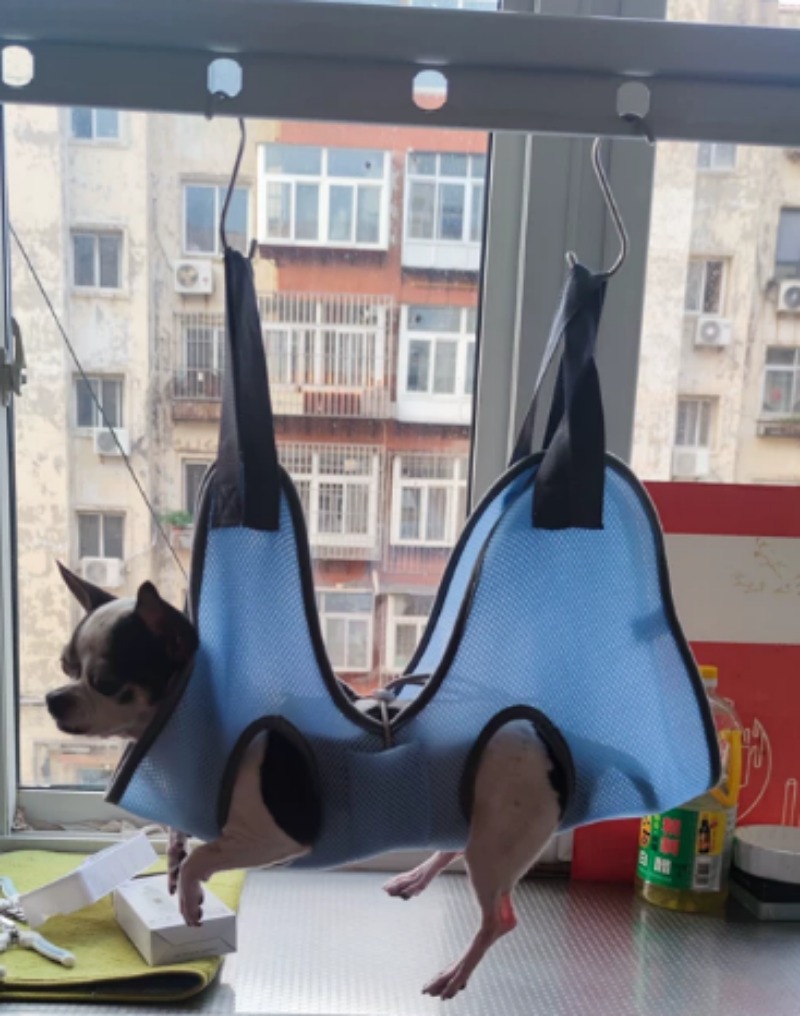 ペット用グルーミングハンモック、犬や猫のシャンプーや爪切りに - Pet Grooming Hammock Sling Restraint のレビューと価格