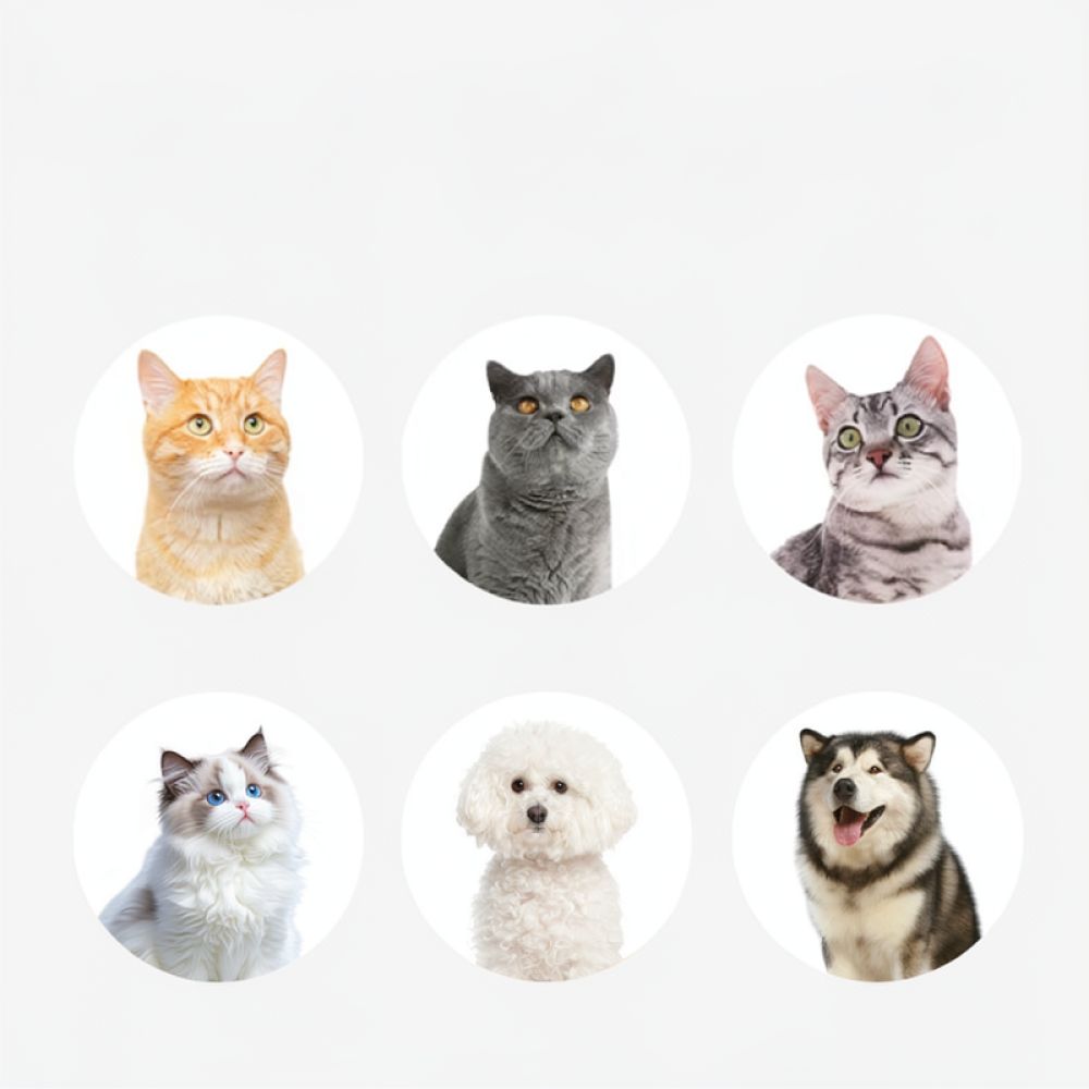 ペット用抜け毛取りツール、湾曲刃のグルーミングコーム。犬や猫 - Undercoat Rake Dematting Tool Dog Shedding のレビューと価格