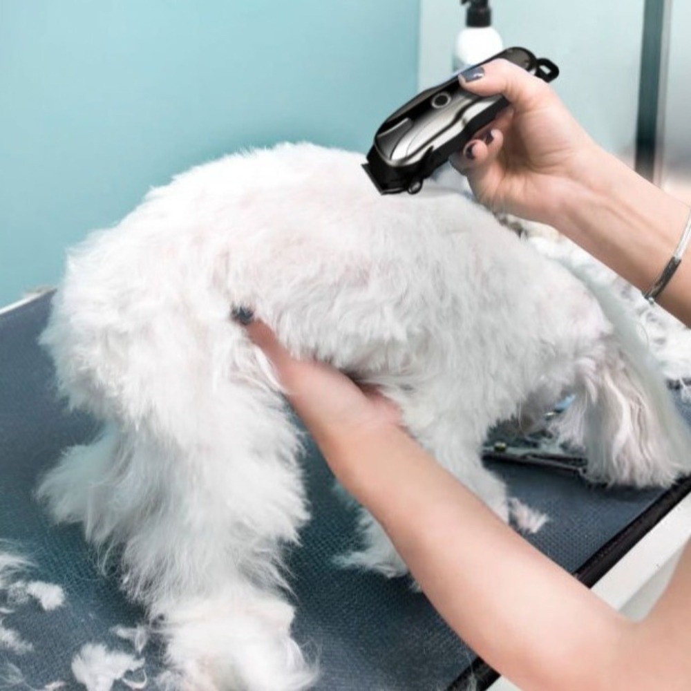 ユニバーサルUSB充電式電動ペットバリカン、コードレス、低騒 - Cordless Dog Clippers Low Noise Grooming のレビューと価格