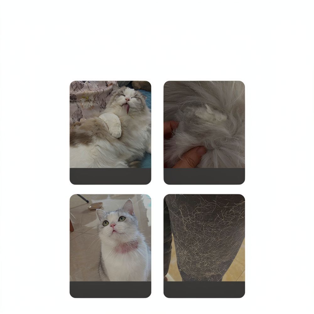 ペット用グルーミングツール。猫や犬の抜け毛を効果的に取り除く - Undercoat Rake Dematting Tool Dog Shedding のレビューと価格