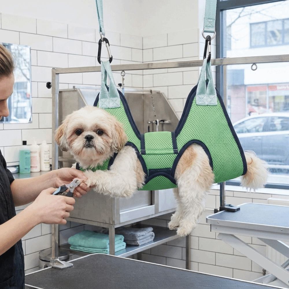 高さ調節可能な犬用グルーミングハンモック。メッシュ素材でペッ - Pet Grooming Hammock Sling Restraint のレビューと価格